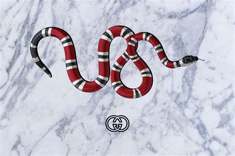 gucci snakes wallpaper iphone|supreme gucci snake wallpaper.